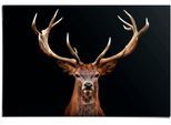Poster REINDERS "Hirsch", braun (farbe bild(er): braun), B:91,5cm H:61cm T:0,1cm, Papier, Bilder, Poster