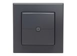 HOMEMATIC IP Wandtaster "Wandtaster - 2-fach V2", grau (anthrazit), B:11,5cm H:5cm T:12,5cm, Smart-Home-Stationen, Wandtaster