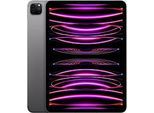 Apple iPad Pro 11 256GB [Wi-Fi + Cellular, Modell 2022] space grau