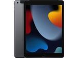 Apple iPad 10,2 256GB [Wi-Fi + Cellular, Modell 2021] space grau
