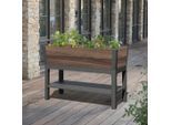 Möbelix , Graphitfarben, Walnussfarben , Kunststoff , 113.0x46.6x18.5 cm , Freizeit im Garten, Gartenpflege, Hochbeete, Hochbeete