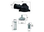 MAHLE Thermostat, Kühlmittel ti24483d für CUPRA