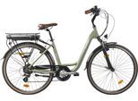 E-Bike LLOBE "City E-Bike 28" County grün" Gr. 47, grün (grün, schwarz), Elektrofahrräder, 47cm, 28 Zoll (71,12cm)