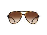 Ray-Ban RB4376 710 gepolijst havana bruin gradiÃ«nt zonnebril