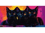 Bild BÖNNINGHOFF "BUNTE KATZE 33x70 cm – Leinwandbild Keilrahmen Deko modern", farbe bild(er): pink, rot, gelb, grün, blau, B:70cm H:33cm T:1,8cm, Canvas, MDF, Bilder, Bild