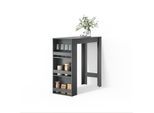 BARTISCH Regusa Anthrazit 45 x 110 cm