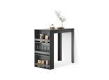 BARTISCH Regusa Anthrazit 57 x 117 cm