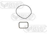 GRAF Wasserpumpe pa14158 für Opel Vaughall
