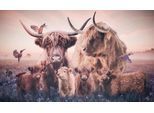 Bild Posterjunkie Beige ca. 118x70cm
