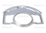 TRISCAN Spritzblech, Bremsscheibe 812514106 Vorderachse für NISSAN