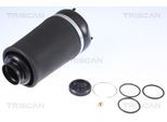 TRISCAN Luftfeder, Fahrwerk 872023101 für Mercedes