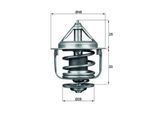 MAHLE Thermostat, Kühlmittel tx8777d für MAZDA NISSAN