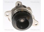 TRISCAN Wasserpumpe 860010092 für Fiat NISSAN RENAULT