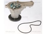 TRISCAN Wasserpumpe 860040017 für HONDA
