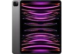 Apple iPad Pro 12,9 256GB [Wi-Fi + Cellular, Modell 2022] space grau