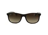 Ray-Ban Zonnebril Andy 4202 607313 Mat Bruin Bruin Verloop