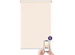 Elektrisches Rollo SUNLINES "Akkurollo Upcycling appgesteuert, blickdicht, Sunlines", beige (creme), B:180cm H:220cm, Kunststoff, Metall, Polyester, Rollos, Elektrisches Rollo, appgesteuert via Bluetooth
