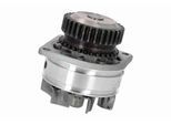 ACKOJA Wasserpumpe a3850016 für INFINITI