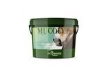 St. Hippolyt Atemwegskur Mucolyt 10 kg