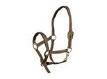 EQuest Halfter Dual Plus beige VB/ COB (Vollblut)
