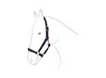 EQuest Halfter Dual Plus navy Pony