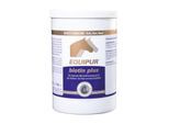 EQUIPUR EQUIPUR biotin plus 1 kg