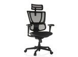 hjh OFFICE Luxus Chefsessel ERGOHUMAN SLIM ECO F GEN2 Netzstoff mit Armlehnen (höhenverstellbar)
