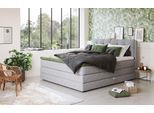 Boxspringbett COTTA "Fort II, in verschiedenen Breiten erhältlich - auch als Familienbett", grau (light grau), B:161cm L:215cm, 100% POLYESTER (PES), Komplettbetten, Boxspringbett, inkl. Bettkasten und Topper
