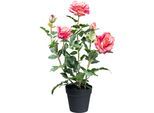 Kunstblume CREATIV GREEN "Rosenbusch", pink, H:58cm, Kunstpflanzen, mit 3 Blüten und 2 Knospen