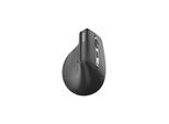 RAPOO EV310M.Dark Grey MM Wireless Ergonomic Mouse