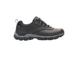 Regatta Heren Holcombe Classic Lage Sportschoenen (Veen)