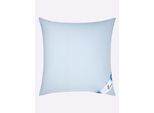 Federkissen OBB Gr. 1, blau (himmelblau), B:80cm L:80cm, 100% Baumwolle, Kopfkissen, Federkissen