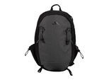 Trespass Apto 24L rugzak (Grijs)