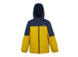 Regatta Lofthouse geïsoleerde jas voor kinderen/Kinderen (Marine/goud vlok)