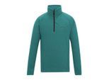 Regatta Great Outdoors - Heren Montes Fleece Sweater met Trechter Nek (Arctic)