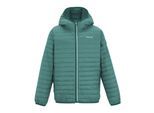Regatta Childrens/Kids Hillpack Hooded Jacket (Ivy Mos)