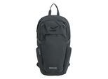 Regatta Prism 20L Rugzak (Asgrijs)