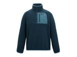 Regatta Heren Frankie Half Zip Fleece Top (Marine/China Blauw)