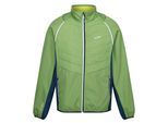 Regatta Heren Steren II Softshell Hybride Jas (Pikant groen/Marokkaans blauw/Citron lime)