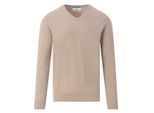 The Blueprint V-neck sweater