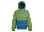 Regatta Gewatteerd kinder/kinder hillpack ii colour block jacket