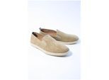 Verbenas Tom