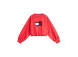 Tommy Hilfiger Sweat kg0kg09236