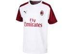 Puma A.C. Milan 1899 Team DryCell Kids Wit T-Shirt