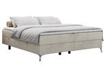 BOXBETT LESS 180/200 Beige Velvet - H4