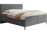 BOXBETT Allen mit Bettkasten, Samt Grau 140x200 cm – inkl. H4 Taschenfederkern Matratze & Foam Topper