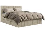 BOXSPRINGBETT ALVER KING DUO 180/200 - Beige Velvet - H4