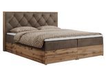 BOXBETT VENETO 140/200 Braun Velvet - H4