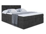 BOXSPRINGBETT CATOR KING - 160x200 - H3/H4 - Schwarz
