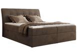 BOXBETT DAGOS 120/200 - Braun Velvet - H3 - Topper Visco